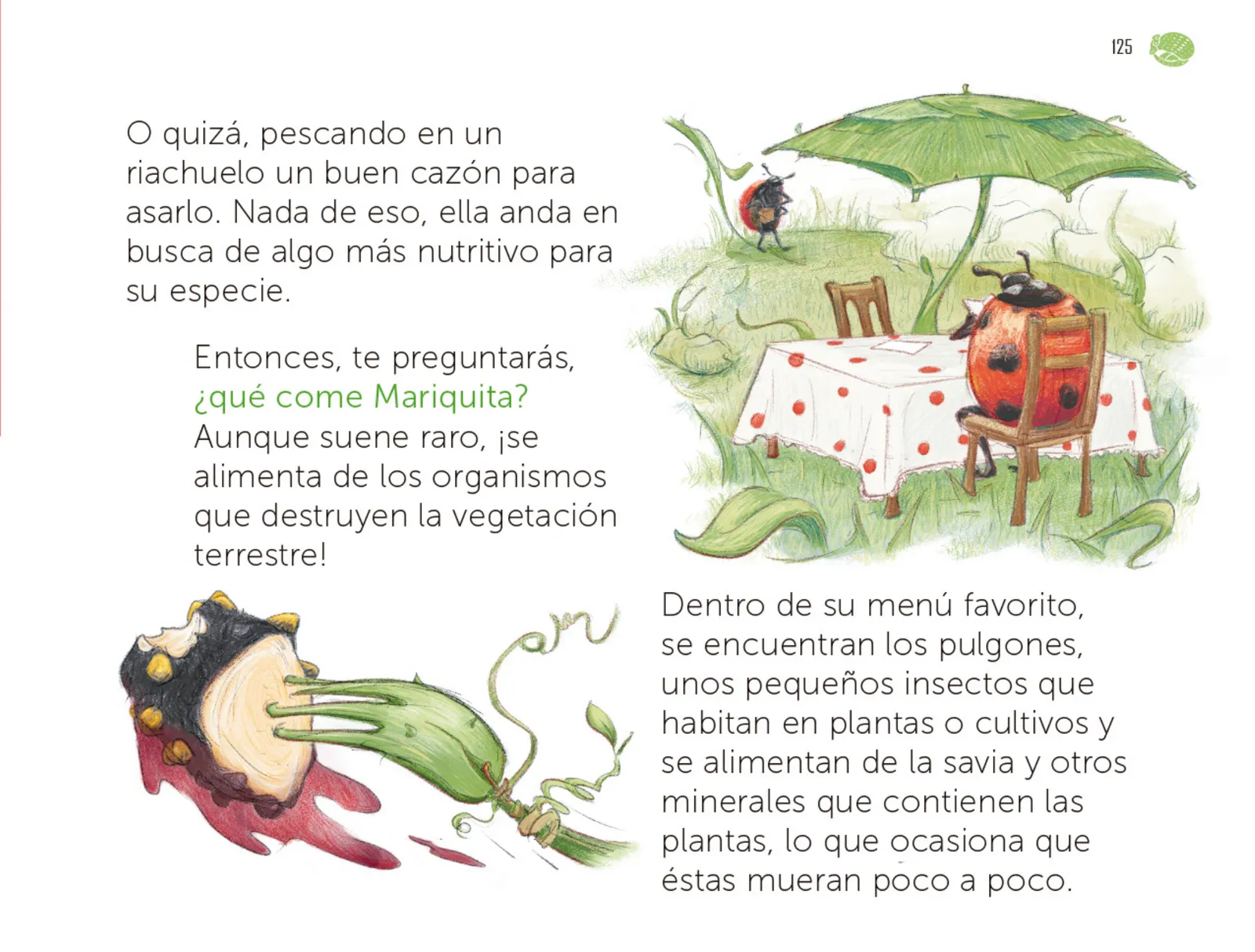 Página 126 de Múltiples lenguajes. Libro de Educación Preescolar Grado 1° Ciclo Escolar 2025 - 2026