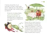 Miniatura página 126 de Múltiples lenguajes.   Libro de Educación Preescolar Grado 1°  Ciclo Escolar 2025 - 2026