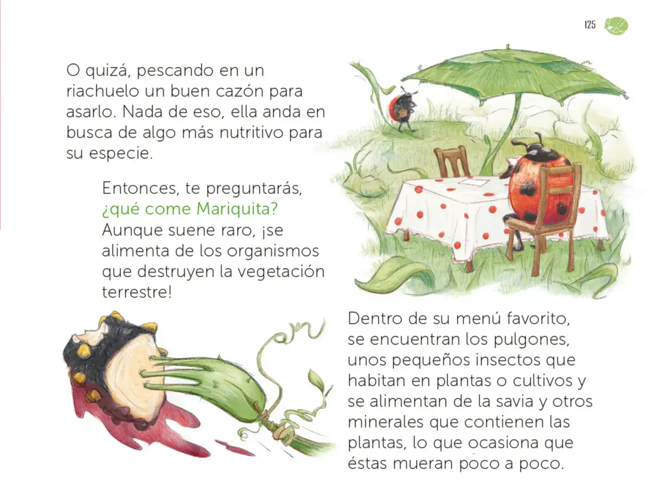 Página 126