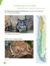 Miniatura página 68 de Ciencias Naturales – Primero Básico | Texto del Estudiante (MINEDUC) – Descargar PDF · 2024