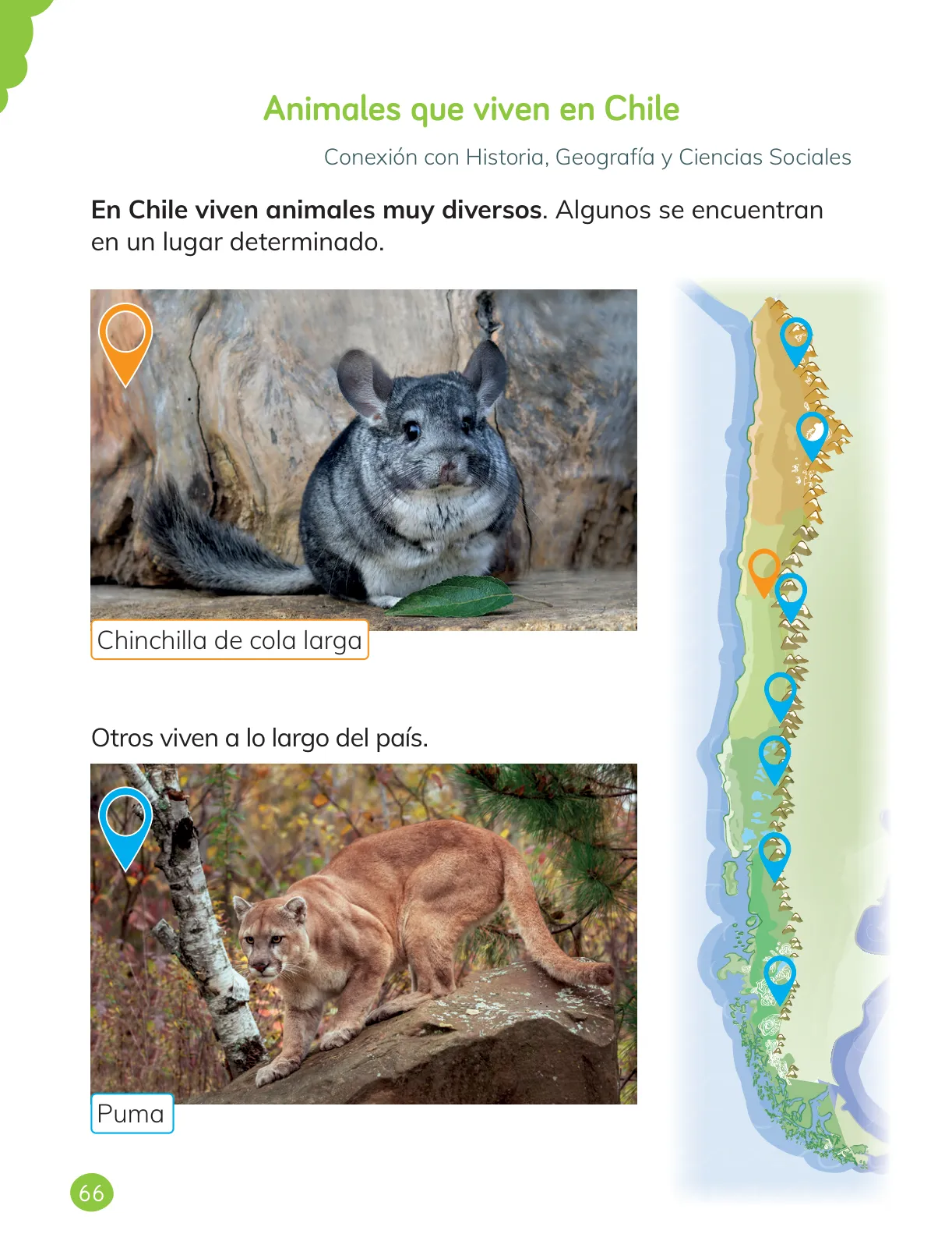Miniatura página 68 de Ciencias Naturales – Primero Básico | Texto del Estudiante (MINEDUC) – Descargar PDF · 2024