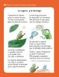 Miniatura página 6 de Lenguaje y Comunicación – Segundo Básico – Texto del Estudiante MINEDUC – Descargar PDF · 2024