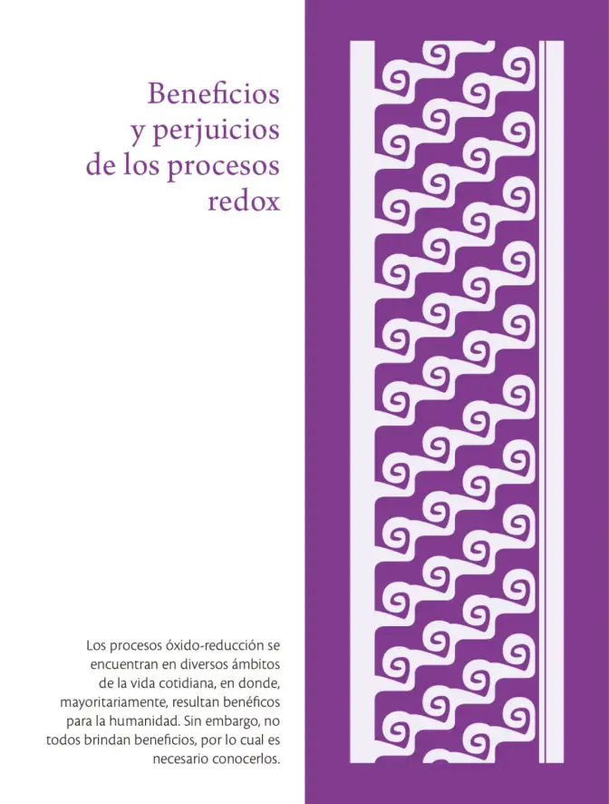 Página 161 de Colección Nanahuatzin. Saberes y pensamiento científico. Libro de Educación Telesecundaria Grado 3° Ciclo Escolar 2025 - 2026