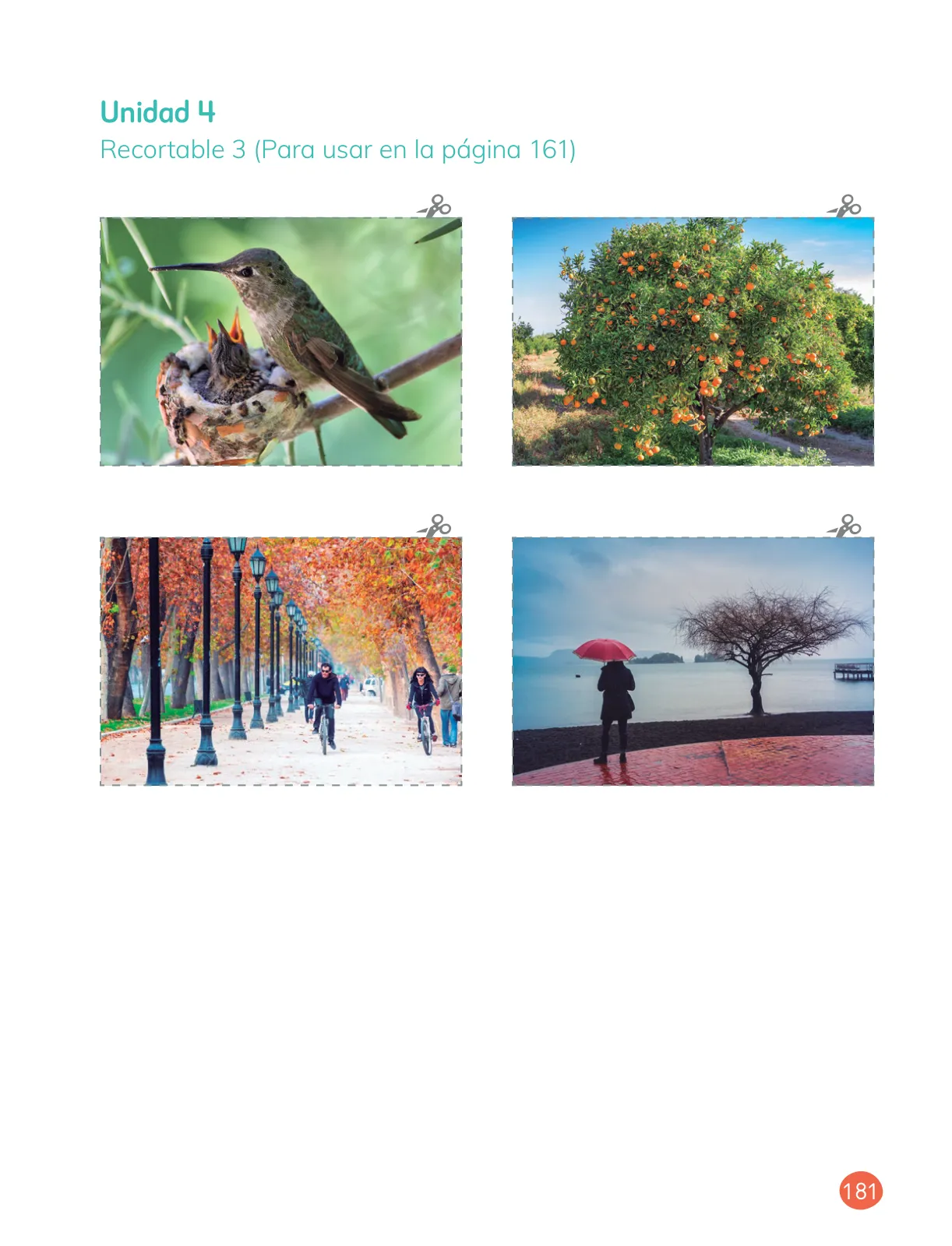 Página 183 de Ciencias Naturales – Primero Básico | Texto del Estudiante (MINEDUC) – Descargar PDF · 2024