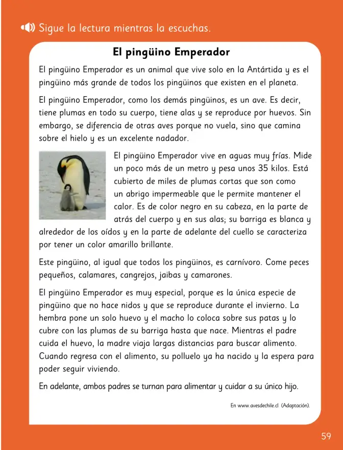 Página 61 de Lenguaje y Comunicación – Segundo Básico – Texto del Estudiante MINEDUC – Descargar PDF · 2024