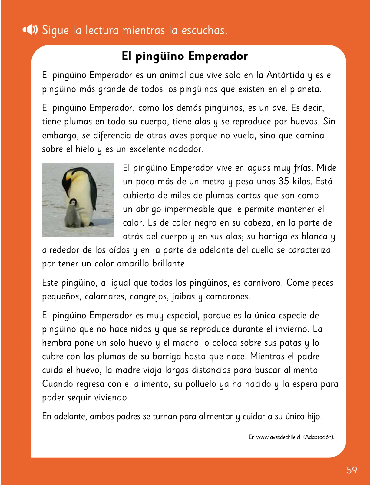 Pág 61