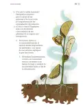 Miniatura página 208 de Proyectos Escolares.   Libro de Educación Primaria Grado 4°  Ciclo Escolar 2025 - 2026