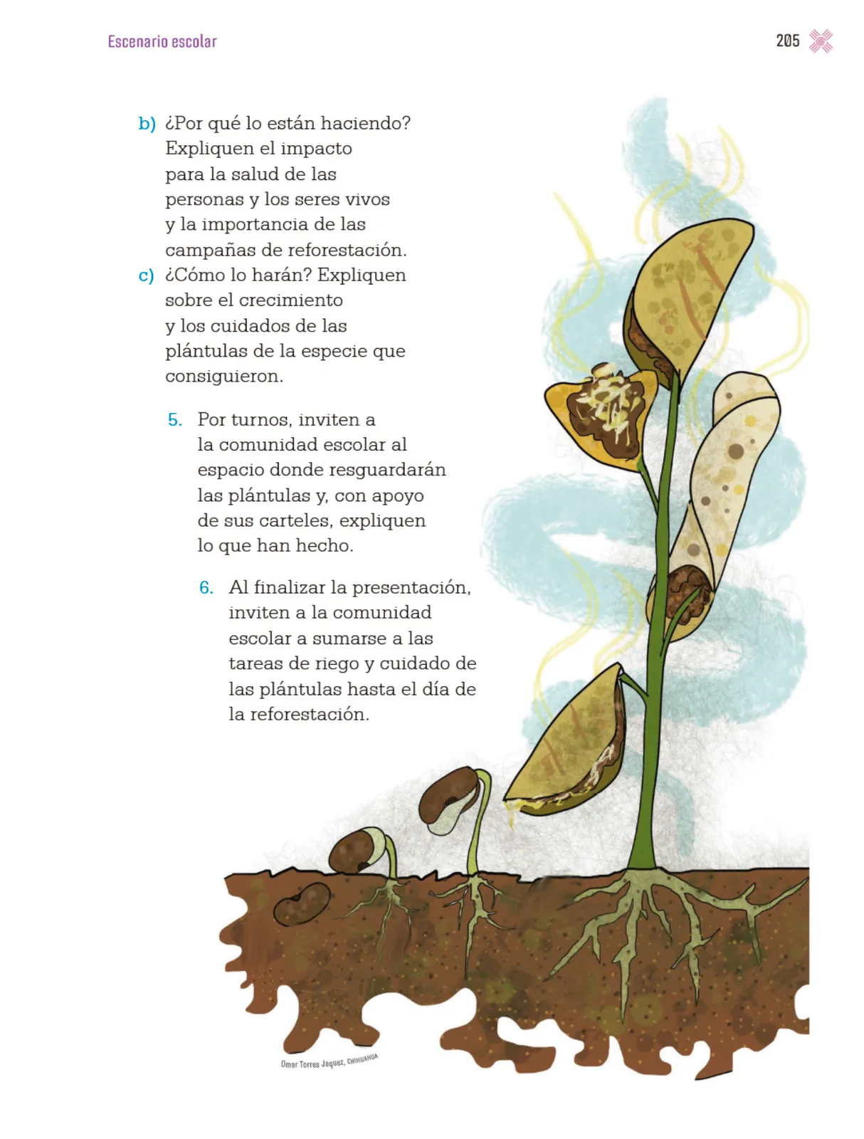 Miniatura página 208 de Proyectos Escolares.   Libro de Educación Primaria Grado 4°  Ciclo Escolar 2025 - 2026