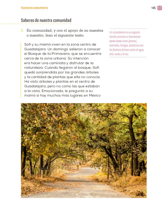 Página 148 de Proyectos Comunitarios. Libro de Educación Primaria Grado 3° Ciclo Escolar 2025 - 2026