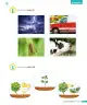 Miniatura página 220 de Ciencias Naturales – Tercero Básico | Texto del Estudiante MINEDUC – Descargar PDF · 2024