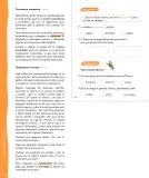 Miniatura página 27 de Lenguaje y Comunicación – Segundo Básico – Texto del Estudiante MINEDUC – Descargar PDF · 2024