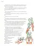 Miniatura página 33 de Proyectos de Aula.   Libro de Educación Primaria Grado 3°  Ciclo Escolar 2025 - 2026