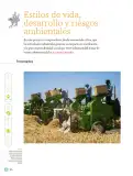 Miniatura página 177 de Proyectos Comunitarios.   Libro de Educación Primaria Grado 5°  Ciclo Escolar 2025 - 2026