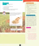 Miniatura página 18 de Ciencias Naturales – Octavo Básico | Texto del Estudiante MINEDUC – Descargar PDF · 2024