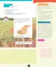 Miniatura página 18 de Ciencias Naturales – Octavo Básico | Texto del Estudiante MINEDUC – Descargar PDF · 2024