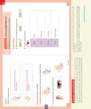 Miniatura página 49 de Ciencias Naturales – Primero Básico | Texto del Estudiante (MINEDUC) – Descargar PDF · 2024