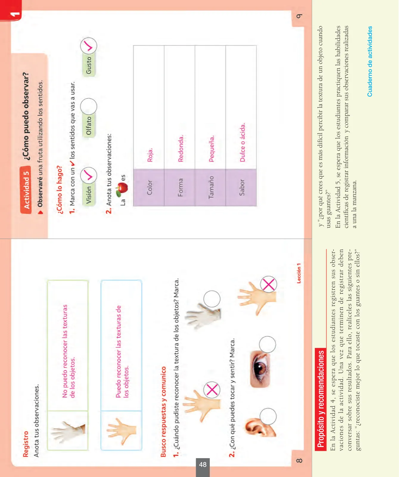 Miniatura página 49 de Ciencias Naturales – Primero Básico | Texto del Estudiante (MINEDUC) – Descargar PDF · 2024