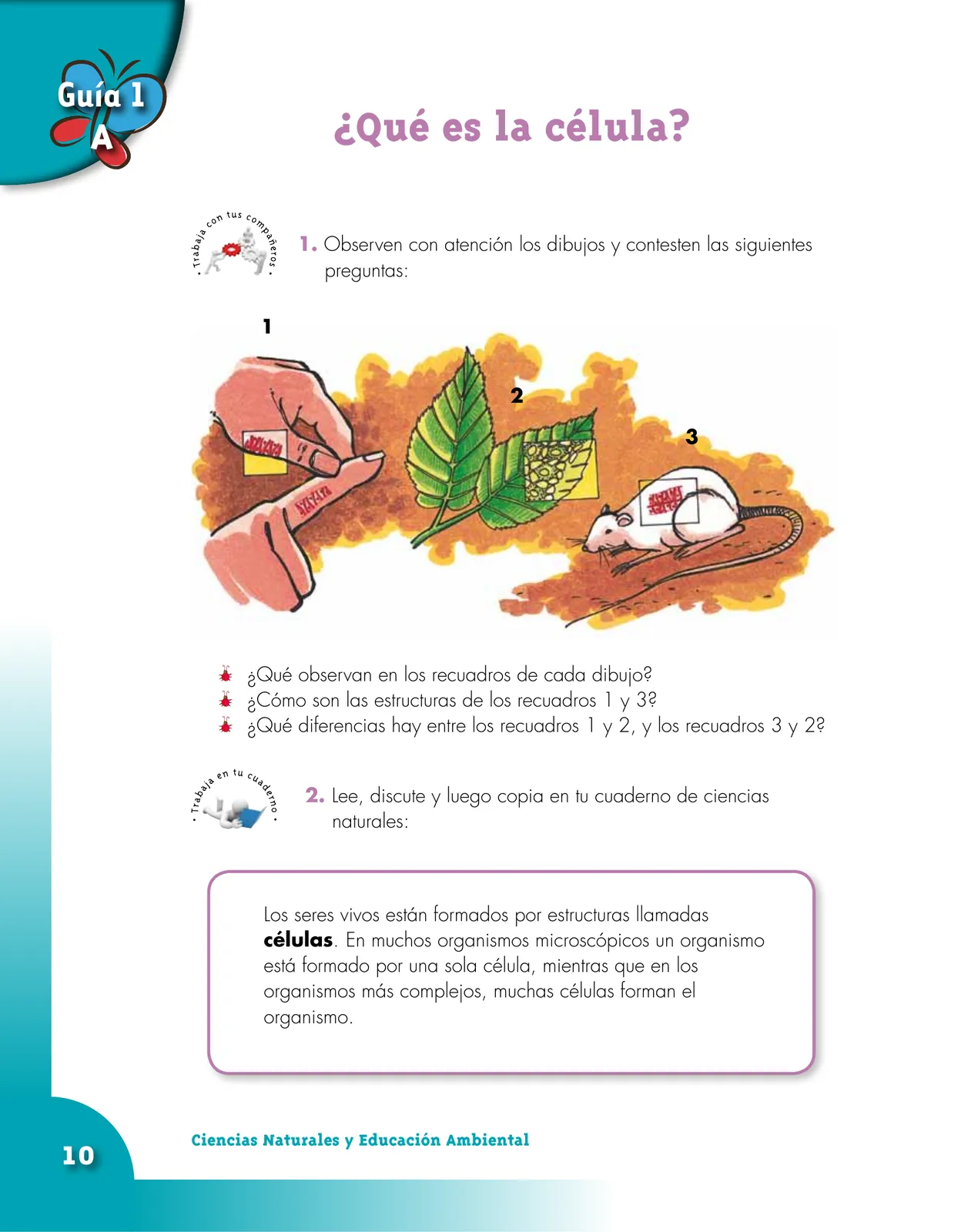 Miniatura página 10 de Ciencias Naturales 5° · Cartilla 01