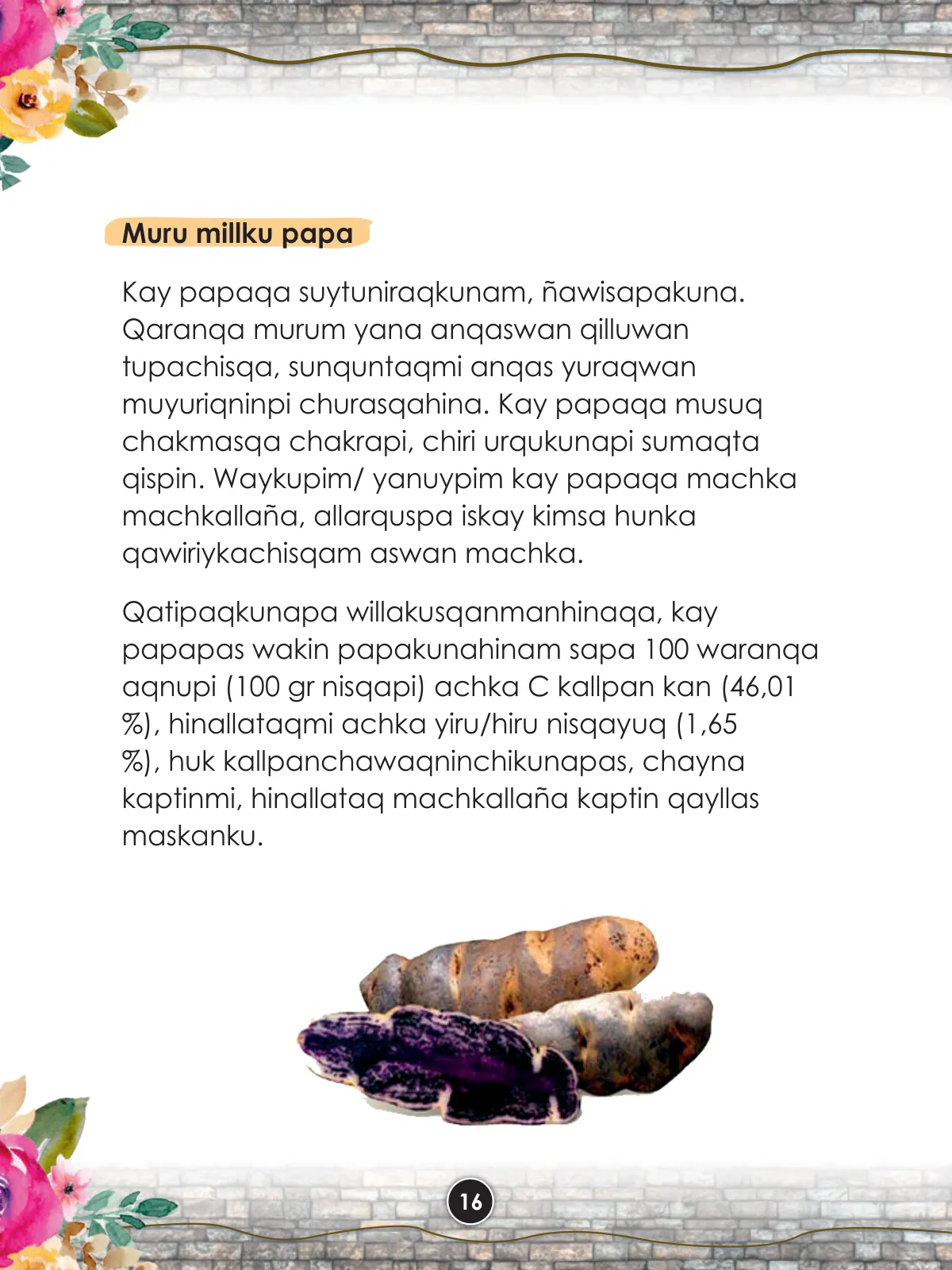 Pág 18