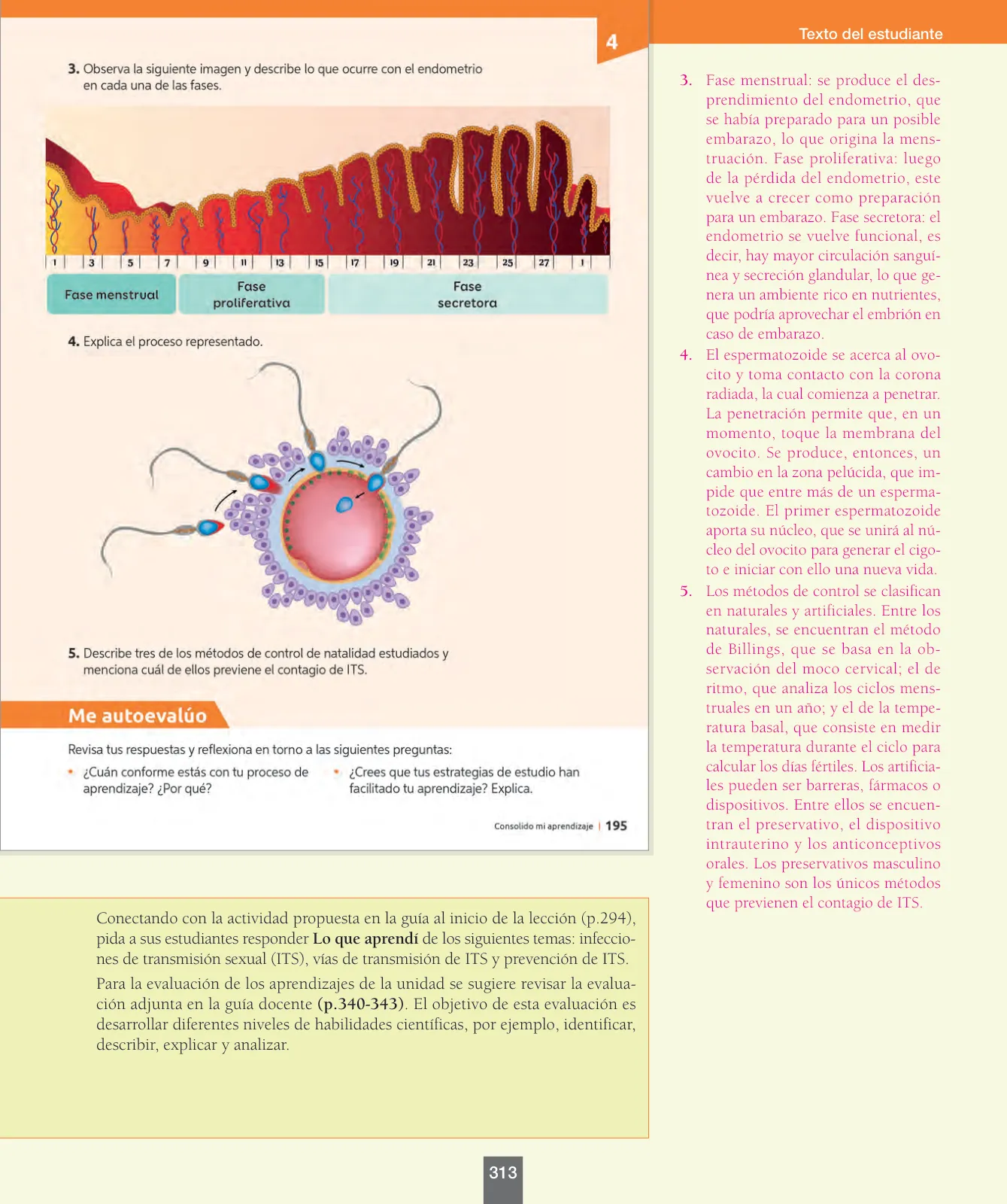 Página 138 de Ciencias Naturales – Séptimo Básico | Texto del Estudiante MINEDUC – Descargar PDF · 2024