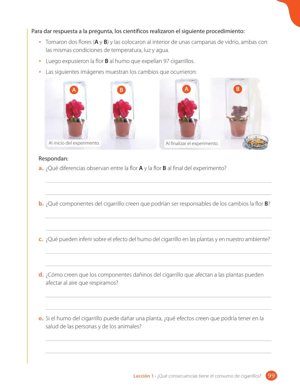 Página 101