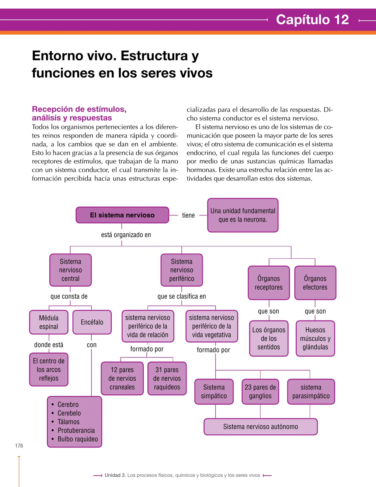 Página 176 de Ciencias Naturales 8° · Secundaria Activa