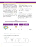 Miniatura página 30 de Matematica 6° · Secundaria Activa