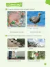 Miniatura página 81 de Ciencias Naturales – Primero Básico | Texto del Estudiante (MINEDUC) – Descargar PDF · 2024