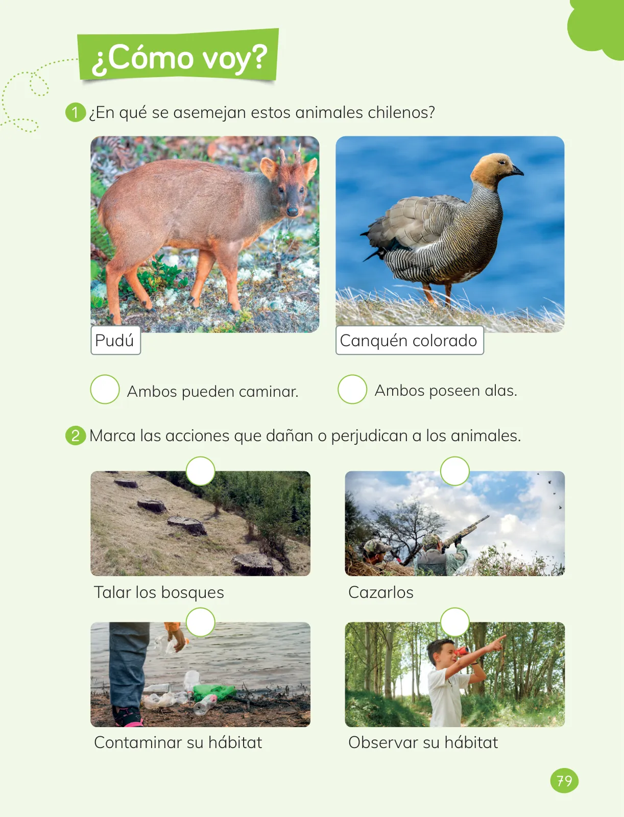 Miniatura página 81 de Ciencias Naturales – Primero Básico | Texto del Estudiante (MINEDUC) – Descargar PDF · 2024
