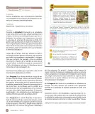 Miniatura página 176 de Sumo Primero – Quinto Básico | Texto del Estudiante MINEDUC – Descargar PDF · 2024