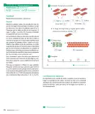Miniatura página 96 de Sumo Primero – Primero Básico | Texto del Estudiante (MINEDUC) – Descargar PDF · 2024