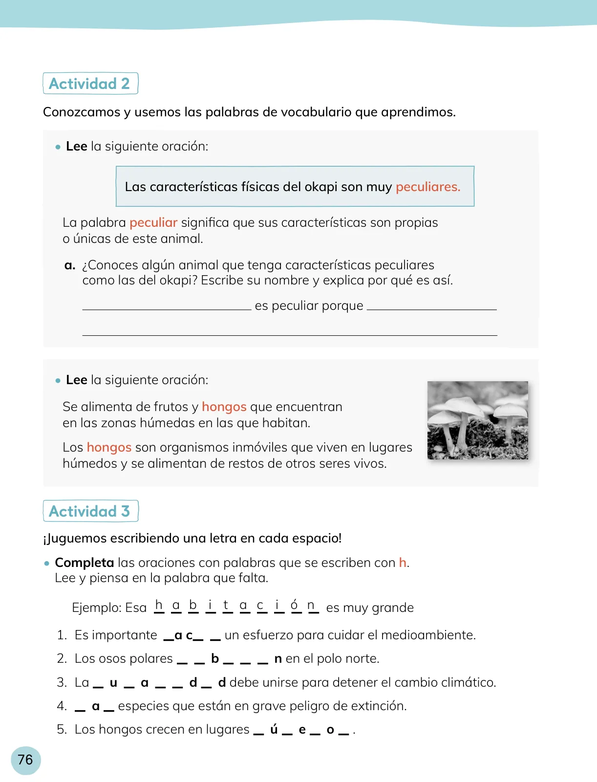 Miniatura página 77 de Lenguaje y Comunicación – Cuarto Básico | Texto del Estudiante MINEDUC – Descargar PDF · 2024