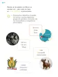 Pág 51