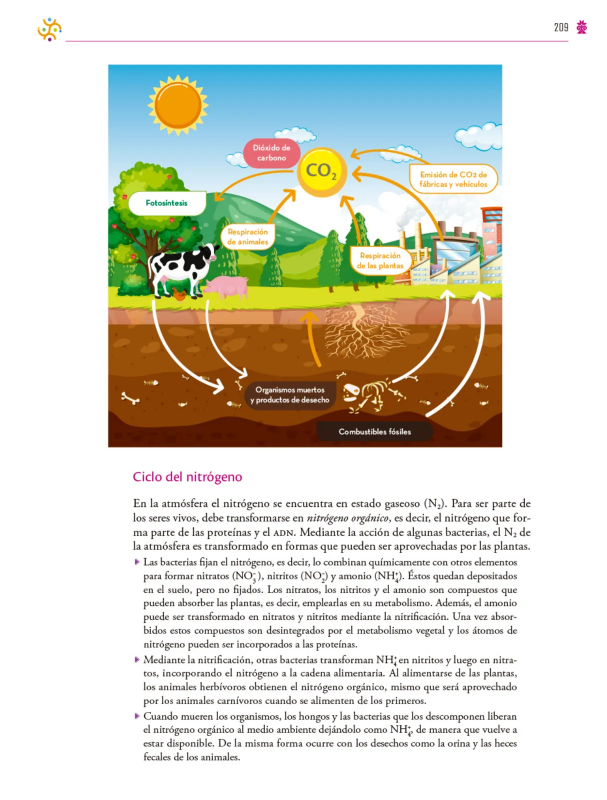 Miniatura página 210 de Colección Ximhai. Saberes y pensamiento científico.   Libro de Educación Secundaria Grado 1°  Ciclo Escolar 2025 - 2026