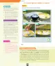Miniatura página 19 de Ciencias Naturales – Segundo Básico | Texto del Estudiante MINEDUC – Descargar PDF · 2024