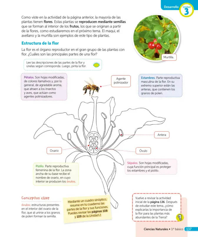 Página 72 de Ciencias Naturales – Tercero Básico | Texto del Estudiante MINEDUC – Descargar PDF · 2024