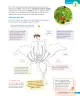 Miniatura página 72 de Ciencias Naturales – Tercero Básico | Texto del Estudiante MINEDUC – Descargar PDF · 2024