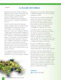 Miniatura página 128 de Lenguaje y Comunicación – Sexto Básico | Texto del Estudiante MINEDUC – Descargar PDF · 2024