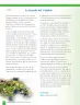 Miniatura página 128 de Lenguaje y Comunicación – Sexto Básico | Texto del Estudiante MINEDUC – Descargar PDF · 2024