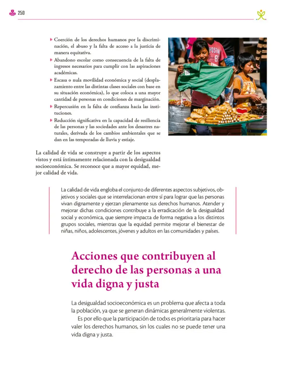 Página 251