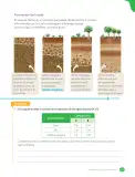 Miniatura página 71 de Libro de Ciencias Naturales – Quinto Básico | Texto del Estudiante MINEDUC – Descargar PDF · 2024