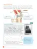 Miniatura página 100 de Ciencias Naturales – Cuarto Básico | Texto del Estudiante MINEDUC – Descargar PDF · 2024