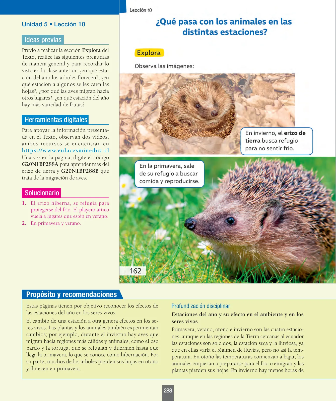 Miniatura página 97 de Ciencias Naturales – Primero Básico | Texto del Estudiante (MINEDUC) – Descargar PDF · 2024
