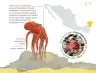 Miniatura página 70 de Múltiples lenguajes.   Libro de Educación Preescolar Grado 3°  Ciclo Escolar 2025 - 2026