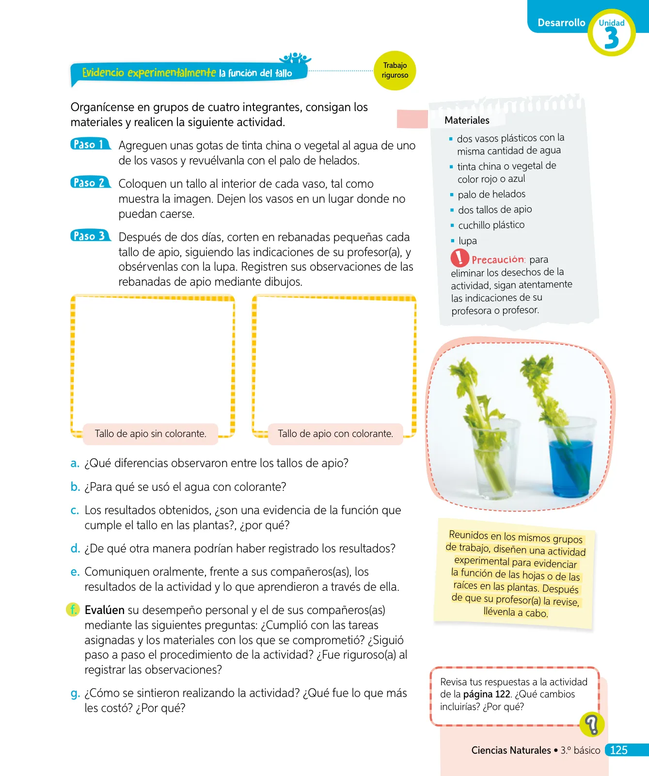 Página 60 de Ciencias Naturales – Tercero Básico | Texto del Estudiante MINEDUC – Descargar PDF · 2024