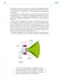 Miniatura página 320 de Colección Sk´asolil. Saberes y pensamiento científico.   Libro de Educación Telesecundaria Grado 2°  Ciclo Escolar 2025 - 2026
