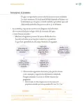 Miniatura página 190 de Proyectos Comunitarios.   Libro de Educación Primaria Grado 6°  Ciclo Escolar 2025 - 2026