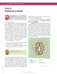 Pág 148