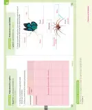 Miniatura página 110 de Ciencias Naturales – Segundo Básico | Texto del Estudiante MINEDUC – Descargar PDF · 2024