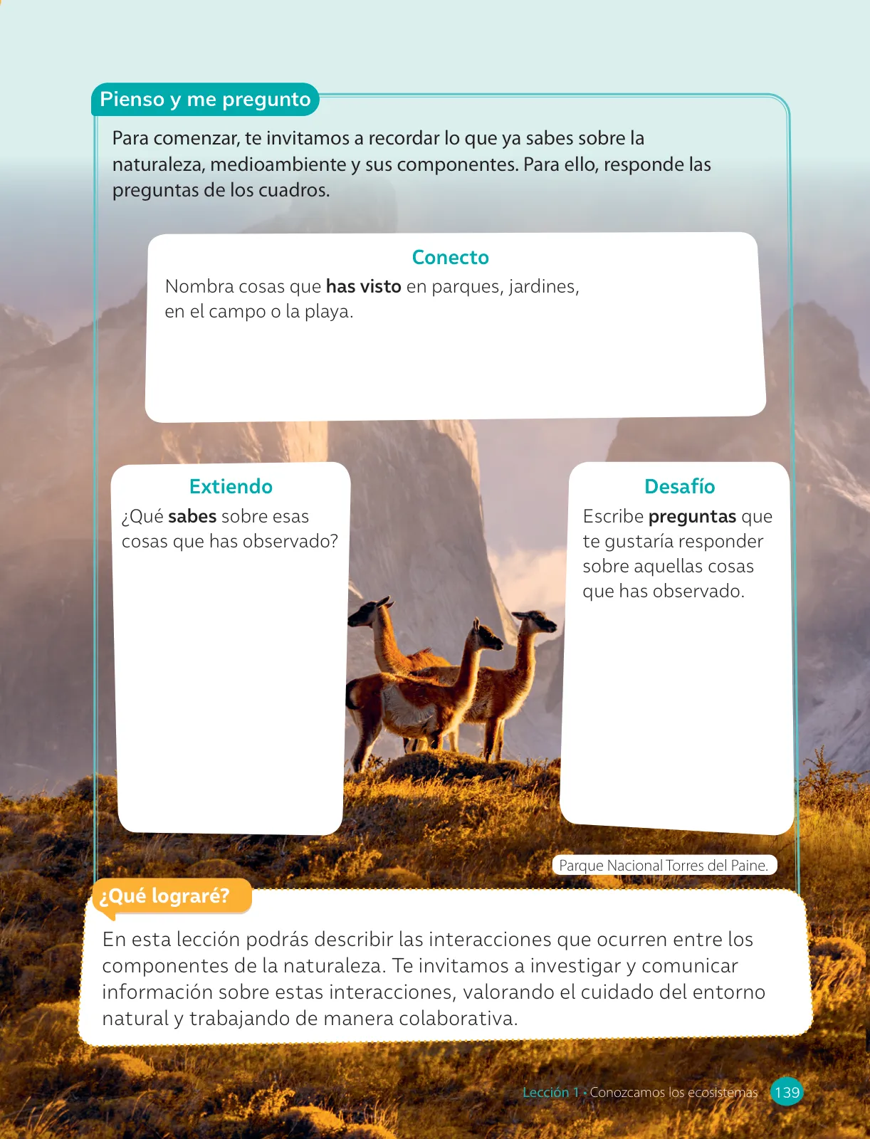 Página 141 de Ciencias Naturales – Cuarto Básico | Texto del Estudiante MINEDUC – Descargar PDF · 2024